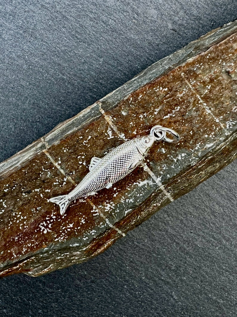 Kleiner Fisch aus Silber Anhänger für Halskette. Maße: Länge 26 mm x Breite 6 mm.