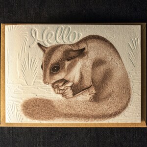 Cartão de felicitações Olá Possum