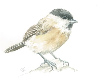 Watercolor painting of titmouse, Modern painting of small bird, Original realistic painting of bird, Fine art print of bird.