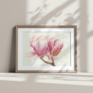 Dipinto originale ad acquerello di magnolie rosa su fondo bianco, Pittura botanica di magnolie, Dipinto floreale originale unico, Flower art