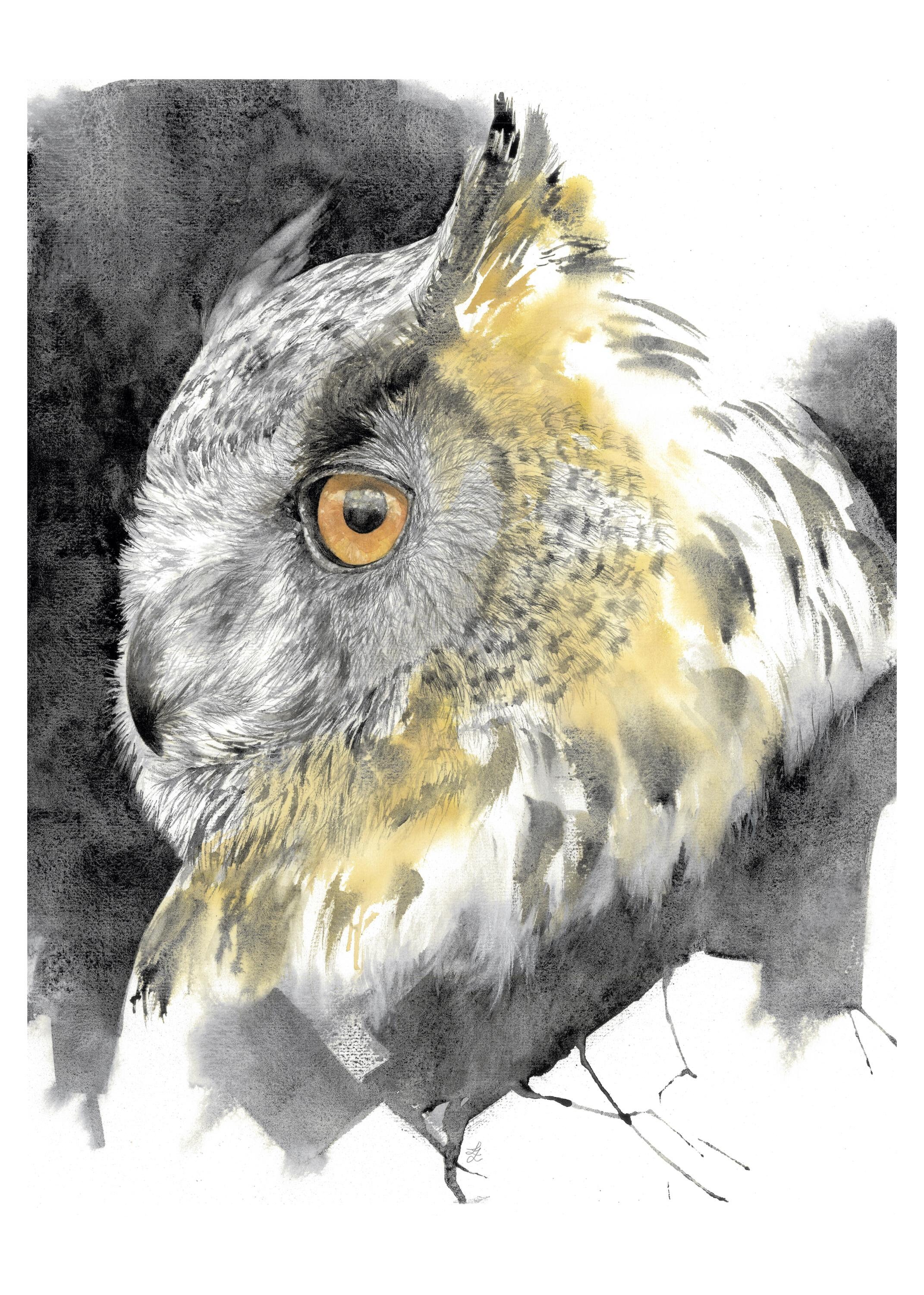 Large Owl Watercolor Painting, Fine Art Print of Nocturnal Bird of Prey, Modern Wild Bird Art, Wildlife Painting