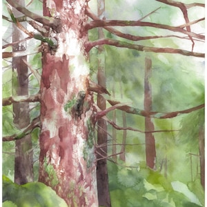 Dipinto ad acquerello di foresta dai colori vivaci e brillanti, Stampa qualità fine art di un paesaggio boschivo, Pittura moderna di bosco.