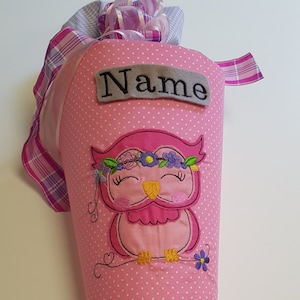 School cone sugar cone school enrollment owl with name and pillow insert