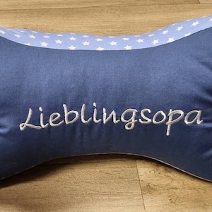 Reading Bones Reading Pillows Book Pillows Neck Pillows Tray Pillows with Name