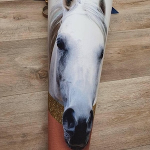 School cone sugar cone school enrollment horse made of fabric