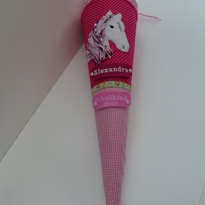 School cone sugar cone school enrollment horse with name