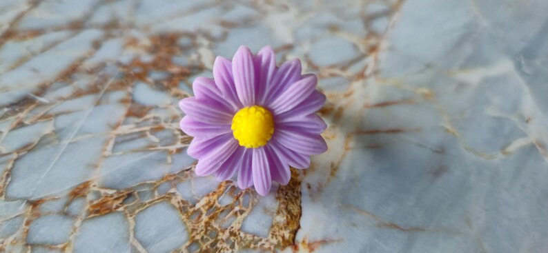 ringa bild 3