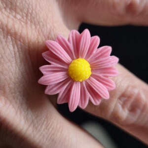 ringa Rosa sandía