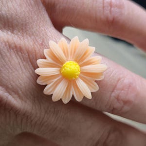 ringa Orange