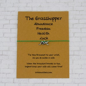 Grasshopper Gift, Grasshopper Wish Bracelet, Grasshopper Jewelry, Good Luck Gift, Insect Gift, Abundance Gift, Self Care Gift, Good Luck