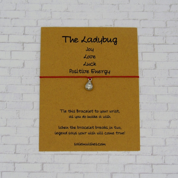 Ladybug Gift, Ladybug Wish Bracelet, Ladybug Friendship Bracelet, Lucky Ladybug Gift, Ladybug Birthday, Gift of Luck, Ladybug Charm