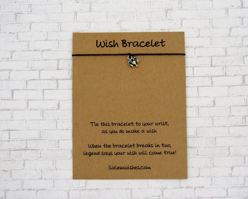 May include: A brown card with the text "Wish Bracelet" printed on it. The card has instructions on how to use the bracelet and includes the website "Salemwishes.com".
