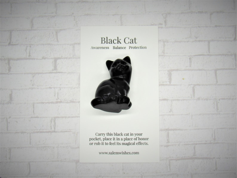 Op de afbeelding: Zwarte kattenbeeldje van zwart steen. Het beeldje zit op een witte kaart met de tekst "Black Cat Awareness Balance Protection Carry this black cat in your pocket, place it in a place of honour or rub it to feel its magical effects. www.salemwishes.com"