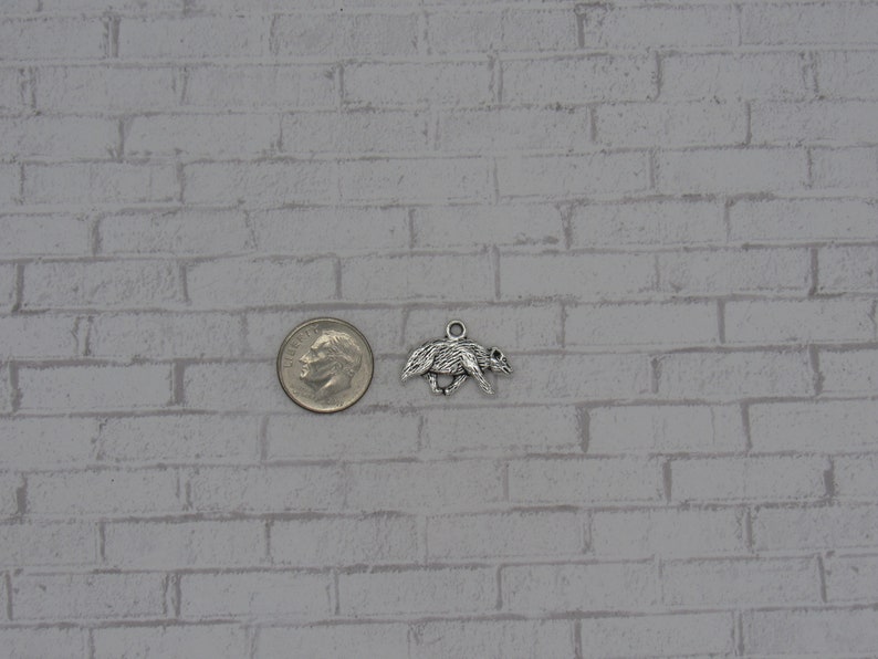 May include: A silver charm in the shape of a flying bat, next to a US dime for size comparison.