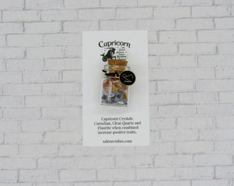 Capricorn Crystal Bottle, Capricorn Gift, Gift for Capricorns, Capricorn Birthday Crystals, Capricorn Zodiac, Capricorn Bracelet