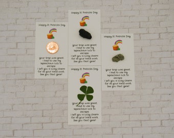 Leprechaun Letter, Leprechaun Trap, St Patrick's Day, Gift For Kids, Four Leaf Clover, Pot of Gold, Irish Gift For Kids, Irish Coin, Emerald