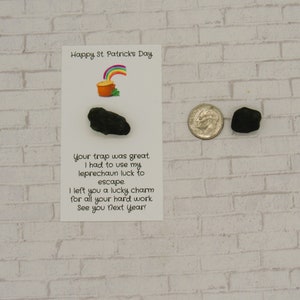May include: A white card with the text "Happy St. Patrick's Day" and a rainbow above a pot of gold. The card also has the text "Your trap was great. I had to use my leprechaun luck to escape. I left you a lucky charm for all your hard work. See you next year!"  Two small black rocks are next to the card.