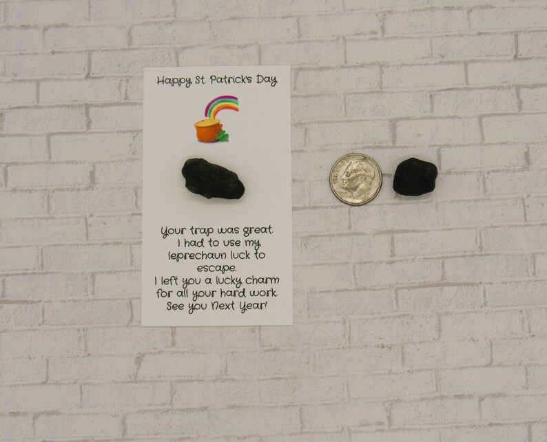 May include: A white card with the text "Happy St. Patrick's Day" and a rainbow above a pot of gold. The card also has the text "Your trap was great. I had to use my leprechaun luck to escape. I left you a lucky charm for all your hard work. See you next year!"  Two small black rocks are next to the card.