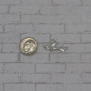 May include: A silver shark charm pendant, shown next to a US dime for size comparison.