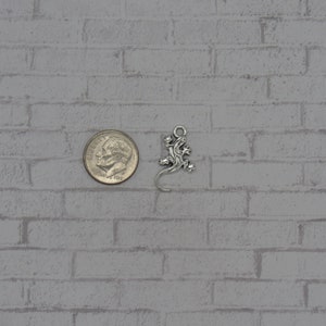 May include: Silver-toned metal lizard charm pendant. The charm is about the size of a US dime.
