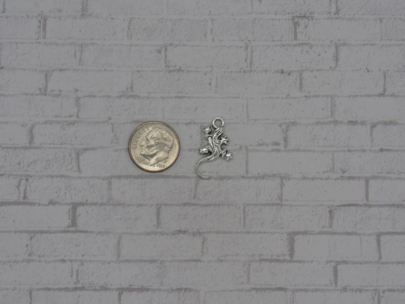 May include: Silver-toned metal lizard charm pendant. The charm is about the size of a US dime.