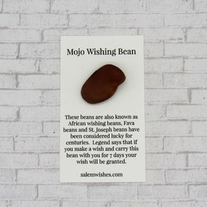 Mojo Wish Bean, African Wish Bean, Fava Bean, St Joseph Bean, Magic Bean, Lucky Charm, Vicia Faba, Lucky Gift, Abundance Gift, Love Gift