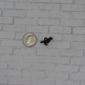 May include: A small black metal bird charm, about the size of a dime.