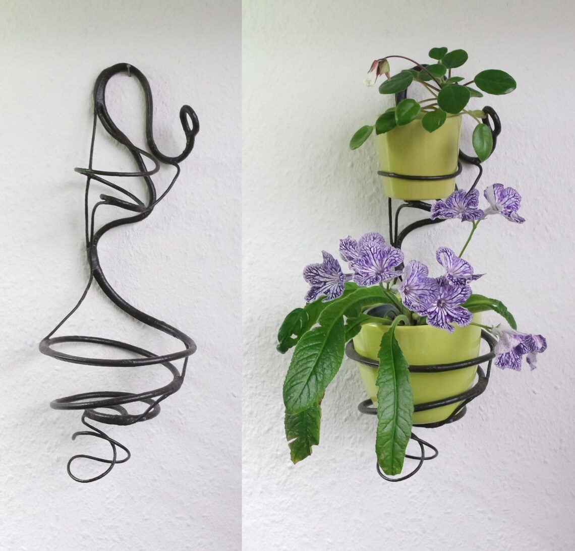 Vine shaped Plant Holder Elegant wall mount in tendril shape Etsy