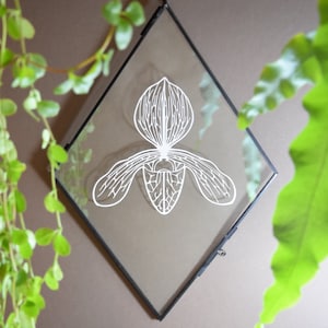Könnte beinhalten: Eine weiße Orchideenblütenillustration in einem rautenförmigen Glasrahmen mit schwarzem Rand. Der Rahmen hängt an einer Wand.