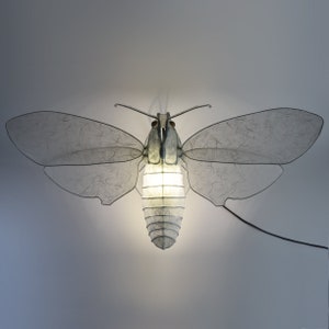 Scultura leggera da scrivania ispirata alla falena falco, Sphingidae, scultura di carta ispirata agli insetti, scultura luminosa