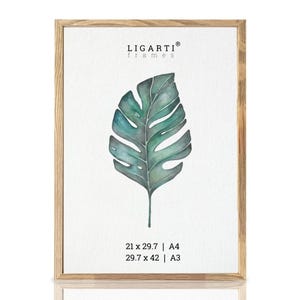 Könnte beinhalten: Ein gerahmter Druck mit einer Aquarellillustration eines grünen Monstera-Blattes. Der Rahmen besteht aus hellem Holz. Der Druck ist mit dem Text "LIGARTI Frames" und den Maßen 21 x 29,7 cm und 29,7 x 42 cm versehen.