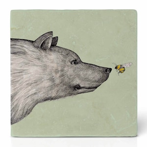Può includere: Un'illustrazione in bianco e nero di un muso di orso che guarda un bombo con strisce gialle e nere. Lo sfondo è di colore verde chiaro.
