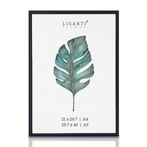 Może przedstawiać: Czarny oprawiony wydruk z akwarelową ilustracją dużego, zielonego liścia monstery. Wydruk zawiera tekst "LIGARTI frames" u góry oraz szczegóły rozmiaru: 21 x 29,7 cm | A4 i 29,7 x 42 cm | A3.