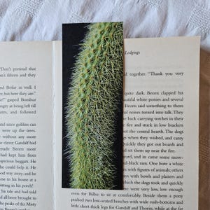 Op de afbeelding: Een groen cactus bladwijzer met scherpe stekels, tussen de pagina's van een boek geplaatst. De bladwijzer toont een close-up van de cactus tegen een zwarte achtergrond. De pagina's van het boek zijn zichtbaar.