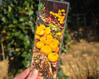 Marcapáginas de bruja con setas, hecho a mano, laminado.