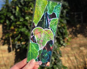 Marcapáginas de hiedra invernal, hecho a mano y laminado.