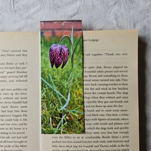 May include: A close-up of a pink and purple snake's head fritillary flower with a brown brick wall in the background. The flower is in focus and the brick wall is out of focus.