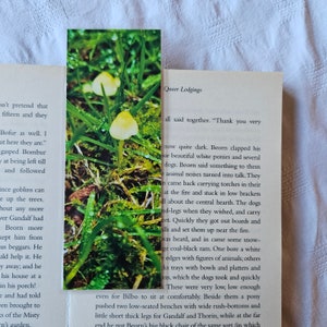 Mushroom Fungi Bookmark (Fairycore Stationery, Autumn Bookmarker, Mushroom Gift) Book Club Gift