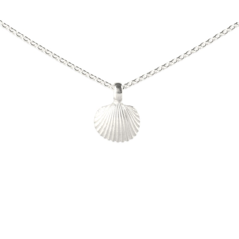 necklace with pendant: sea shell silver image 3