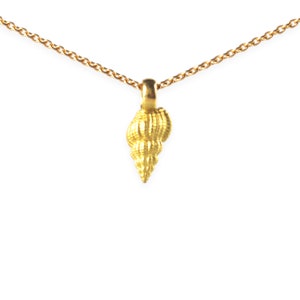 necklace with pendant: auger shell - 18k gold