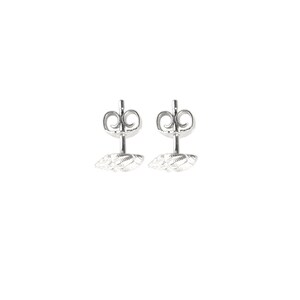 earrings: studs auger shell silver image 5