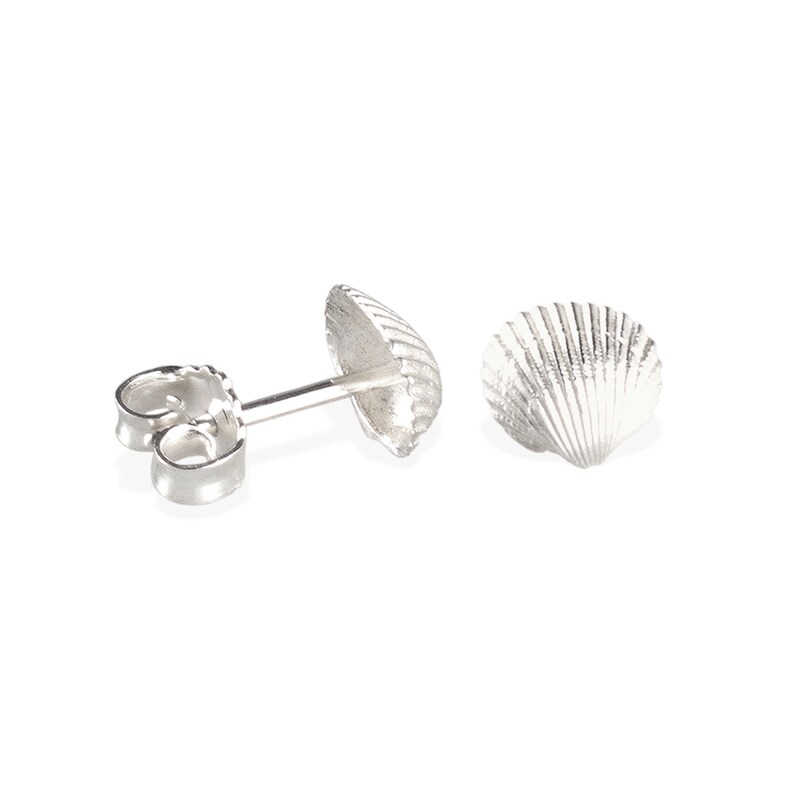 earrings: studs sea shell silver image 5