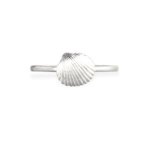 ring sea shell - sterling