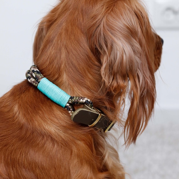 Handgefertigtes Tau-Leder-Halsband fr Hunde, grn - XS, S, M, L |  Hundehalsband & Halsband als Geschenke | handgemach am Niederrhein - Etsy.de