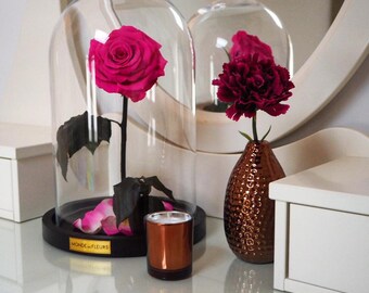 Die Schöne Und Das Biest Rose Zeichnen