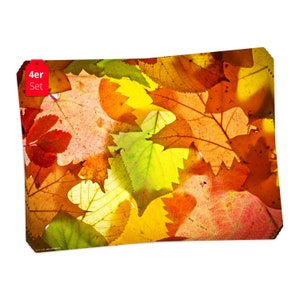 Placemats I Washable placemats - Colorful variety of leaves - made of premium vinyl - 4 pieces - 44 x 32 cm - non-slip table decoration