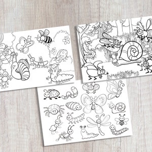 Tovagliette | Tovagliette - modello da colorare "Set di insetti" per colorare su carta - 44 x 32 cm - 12 pezzi con cartellina portaoggetti di alta qualità