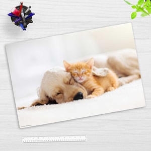 Schreibtischunterlage abwaschbar - Freundschaft Katze und Hund - aus premium Vinyl - Hergestellt in Deutschland - in 60x40, 70x50, 100x50 cm