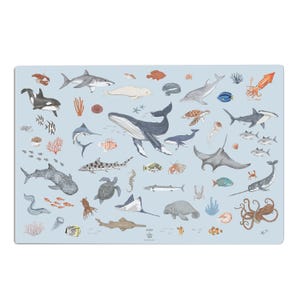 Op de afbeelding: Een lichtblauwe placemat met illustraties van zeedieren, waaronder walvissen, haaien en schildpadden. De illustraties zijn in een grillige stijl, met een verscheidenheid aan kleuren en vormen. De placemat heeft de tekst "MERMAID LITTLE SEA".