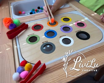 Color Sorting Insert for IKEA FLISAT Sensory Bin - Wooden Educational Tool